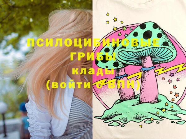 PSILOCYBIN Костерёво