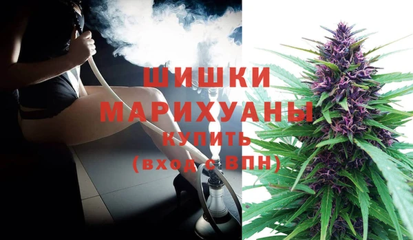 PSILOCYBIN Костерёво