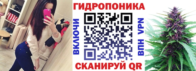 Купить где  Магас  Бошки марихуана AK-47 